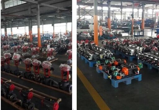 雙愛(ài)行動(dòng)