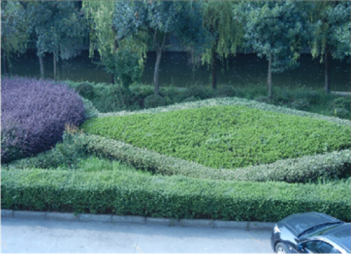 “美化公司、去除雜草、清理死角”——記黨員月主題活動